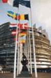 Sfruttamento minorile: appello del Parlamento europeo anche ai governi regionali  