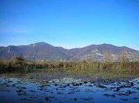 Lombardia: approvate modifiche Riserva Naturale Torbiere del Sebino