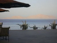 L'altra faccia di Sharm                                                       