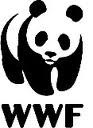 WWF: nell'Anno Internazionale delle Foreste