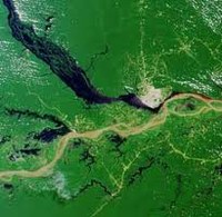 Allarme Amazzonia – cifre della tragedia e dell’ipocrisia