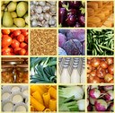 Produrre e consumare cibo: il futuro sistema agroalimentare mondiale 
