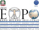 Una riflessione sui progetti internazionali della Società Expo 2015