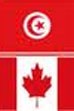 Odd timing for feds to bar voting in Tunisian election