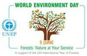 Giornata Mondiale dell’Ambiente: foreste, natura al nostro servizio!