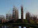 A Lodi una Cattedrale vegetale
