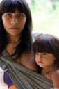 Campagna di pressione per il salvare il popolo indios brasiliano degli Awà-Guajà